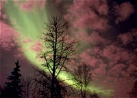 Aurora Borealis Pictures furnished by Crackshot.Net